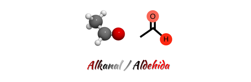 Alkanal - Berbagi Informasi